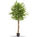 Albero di Ficus Artificiale con Foglie Realistiche per Interni Altezza 180 cm