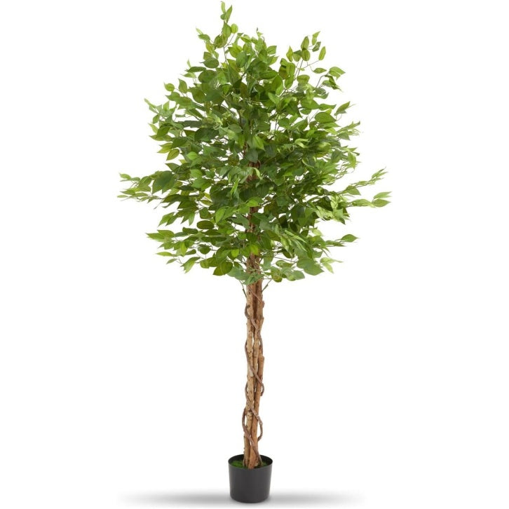 Albero di Ficus Artificiale con Foglie Realistiche per Interni Altezza 180 cm